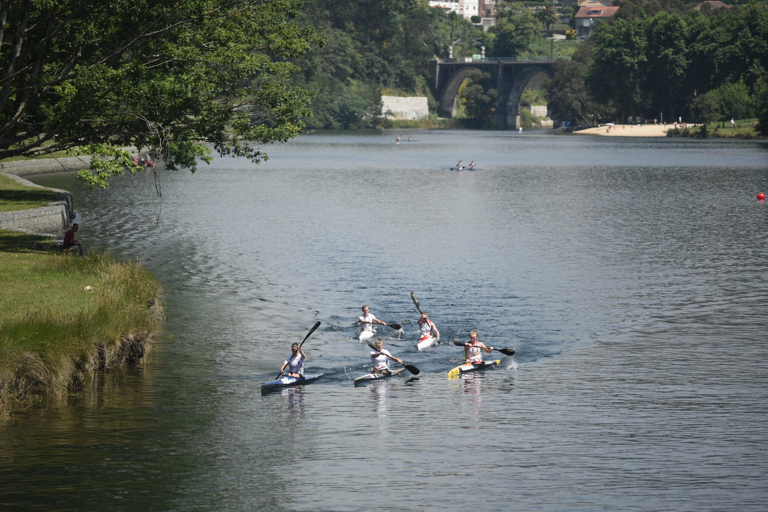 "Bendice al húngaro, Seí±or". Primera jornada del Europeo í‰lite - DEPORTE PONTEVEDRA